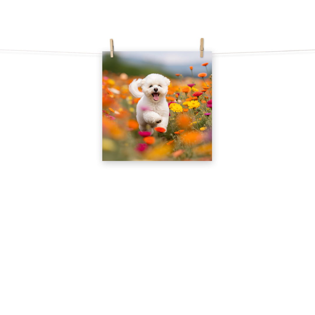 Bichon Frise Photo paper poster - PosterfyAI.com