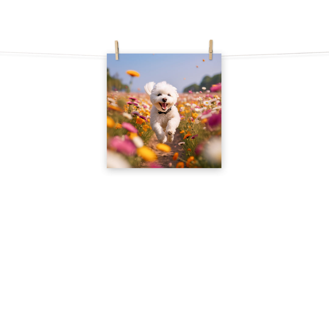 Bichon Frise Photo paper poster - PosterfyAI.com