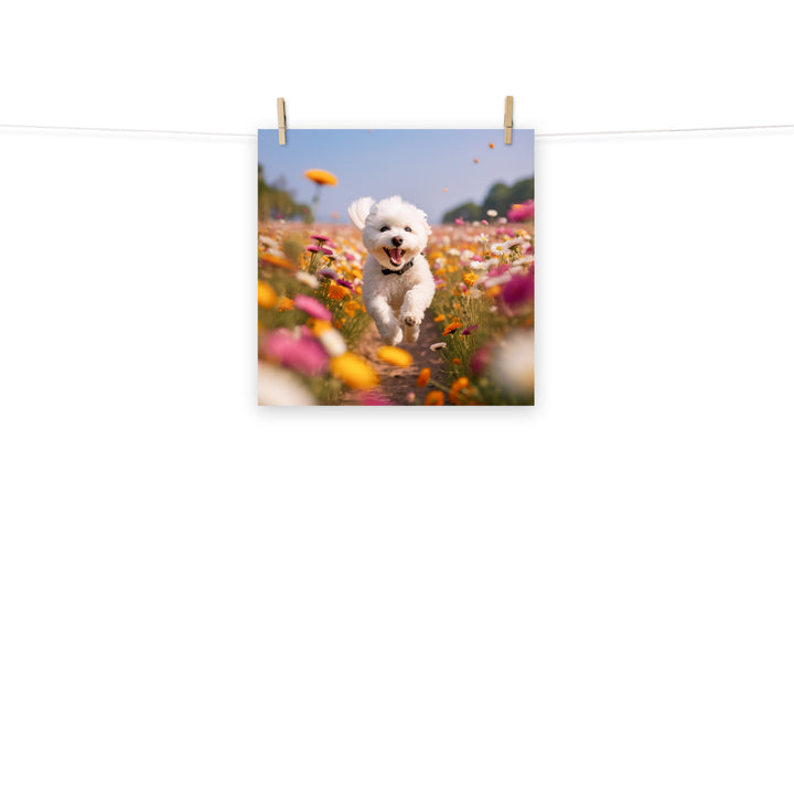 Bichon Frise Photo paper poster - PosterfyAI.com