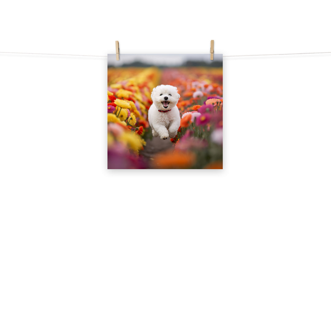 Bichon Frise Photo paper poster - PosterfyAI.com