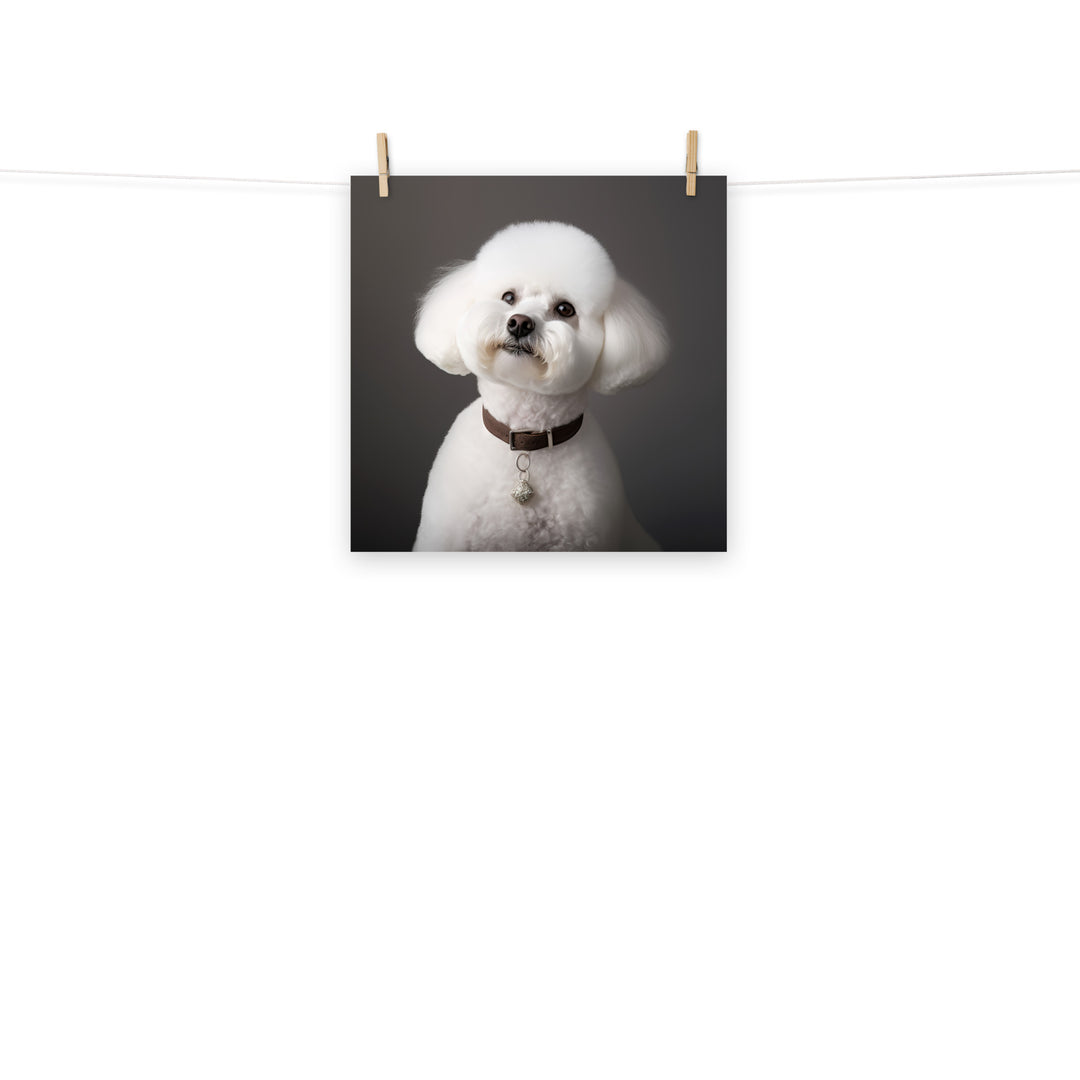 Bichon Frise Photo paper poster - PosterfyAI.com