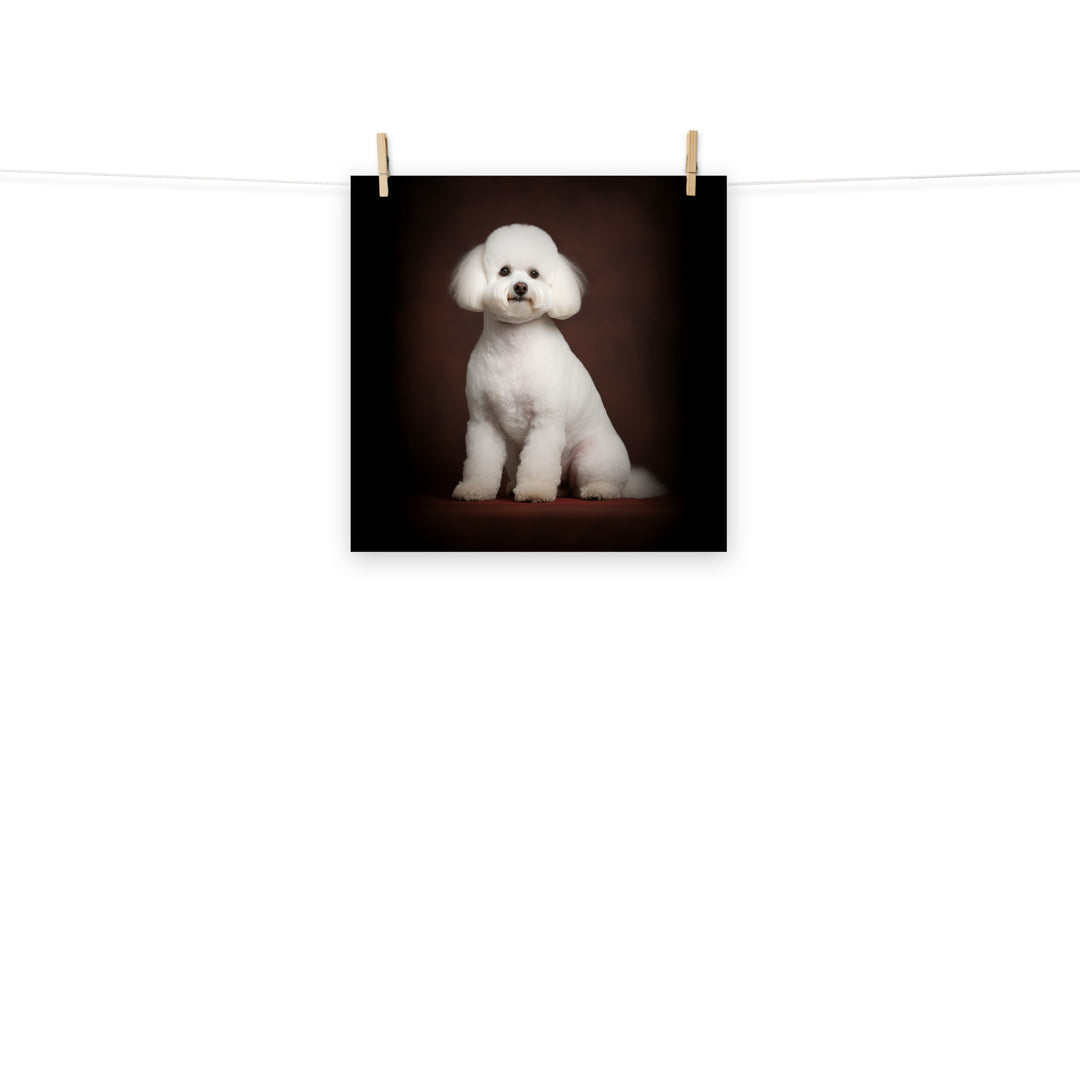 Bichon Frise Photo paper poster - PosterfyAI.com