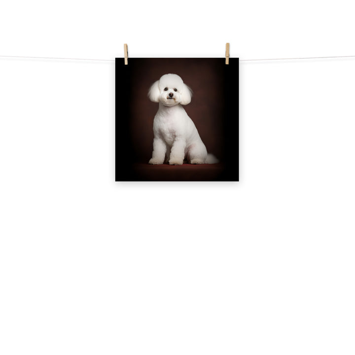 Bichon Frise Photo paper poster - PosterfyAI.com