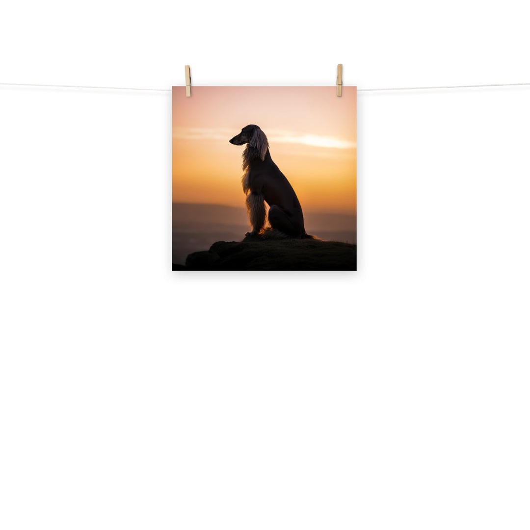 Afghan Hound Photo paper poster - PosterfyAI.com