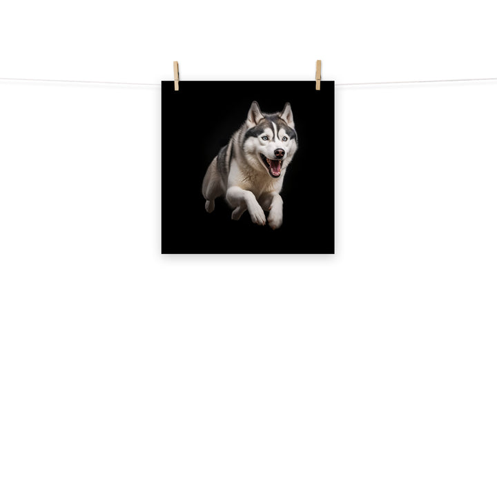Siberian Husky Photo paper poster - PosterfyAI.com