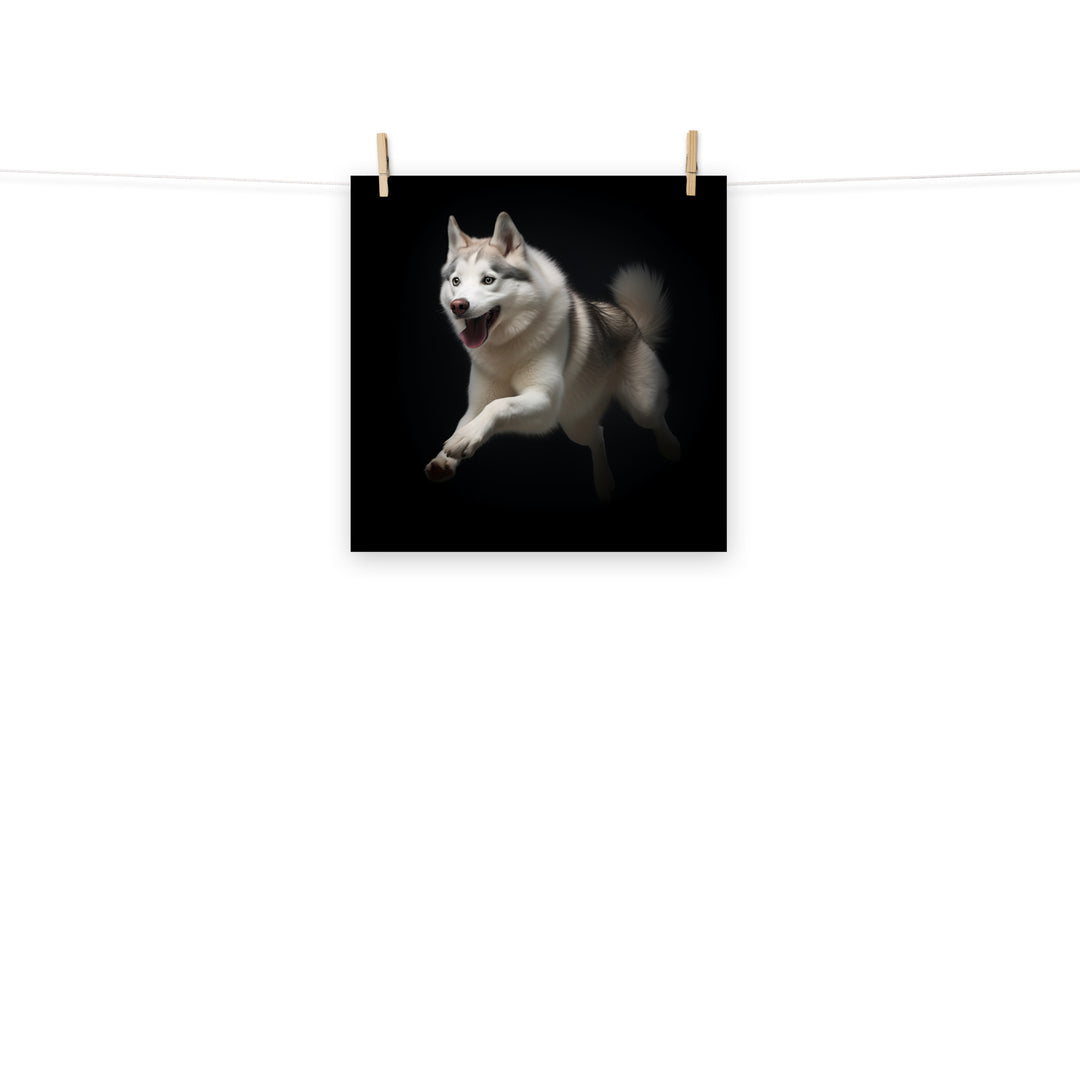 Siberian Husky Photo paper poster - PosterfyAI.com