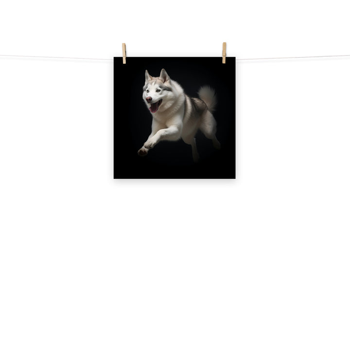 Siberian Husky Photo paper poster - PosterfyAI.com