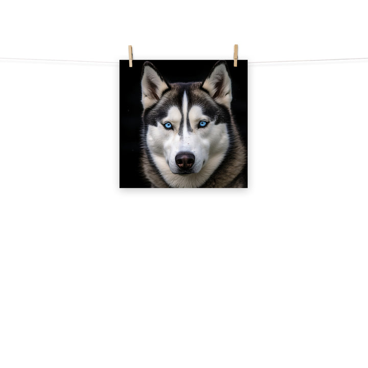 Siberian Husky Photo paper poster - PosterfyAI.com