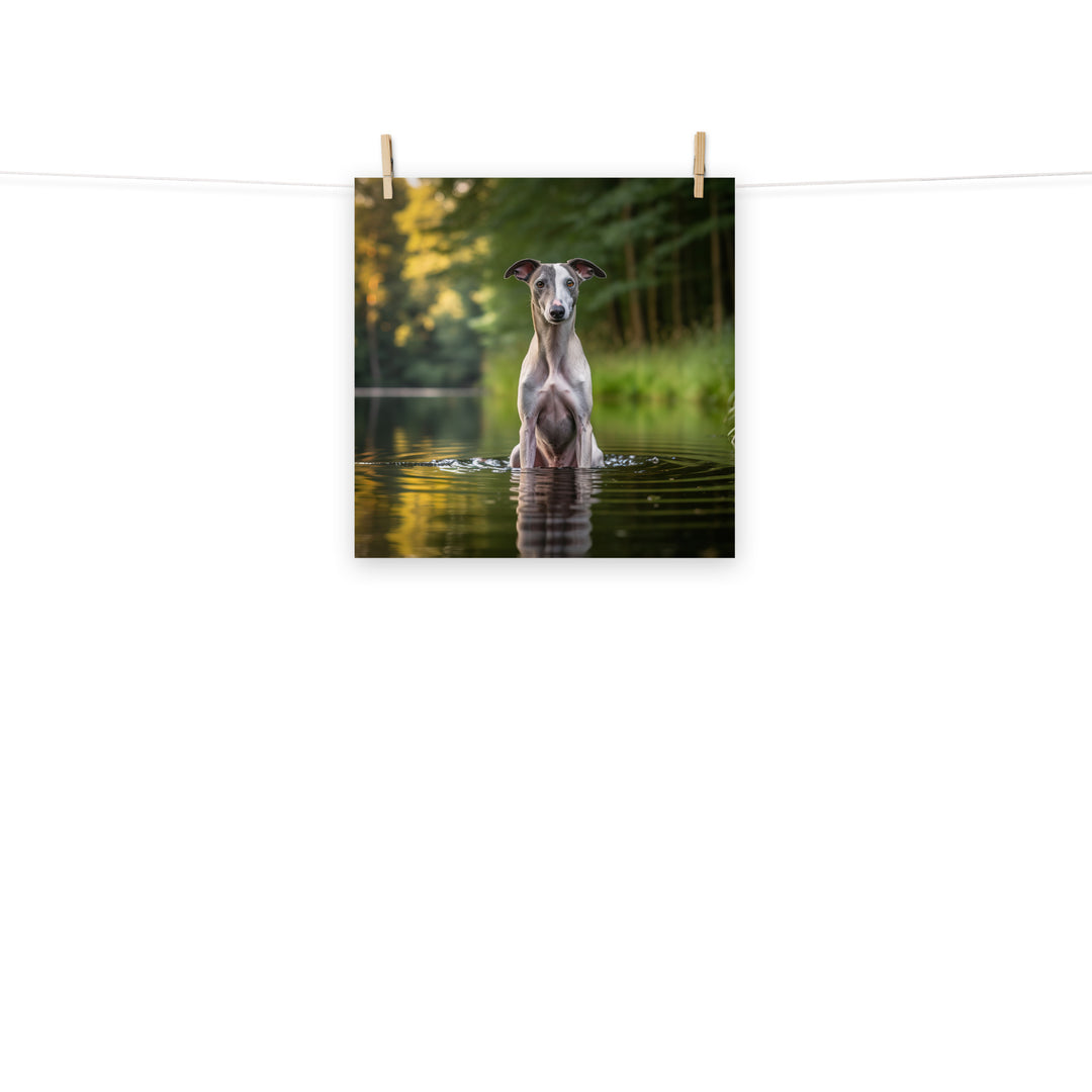 Whippet Photo paper poster - PosterfyAI.com