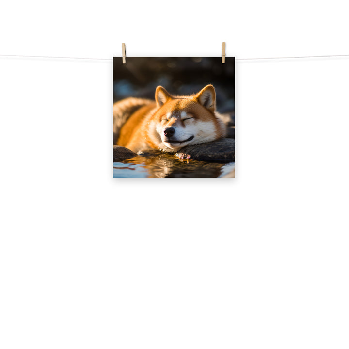 Shiba Inu Photo paper poster - PosterfyAI.com