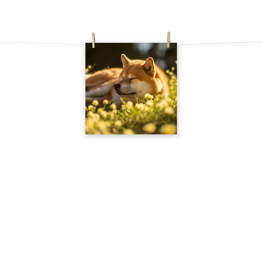 Shiba Inu Photo paper poster - PosterfyAI.com