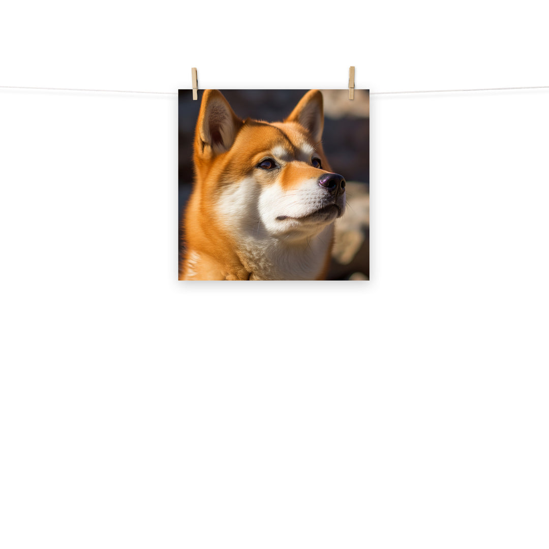 Shiba Inu Photo paper poster - PosterfyAI.com