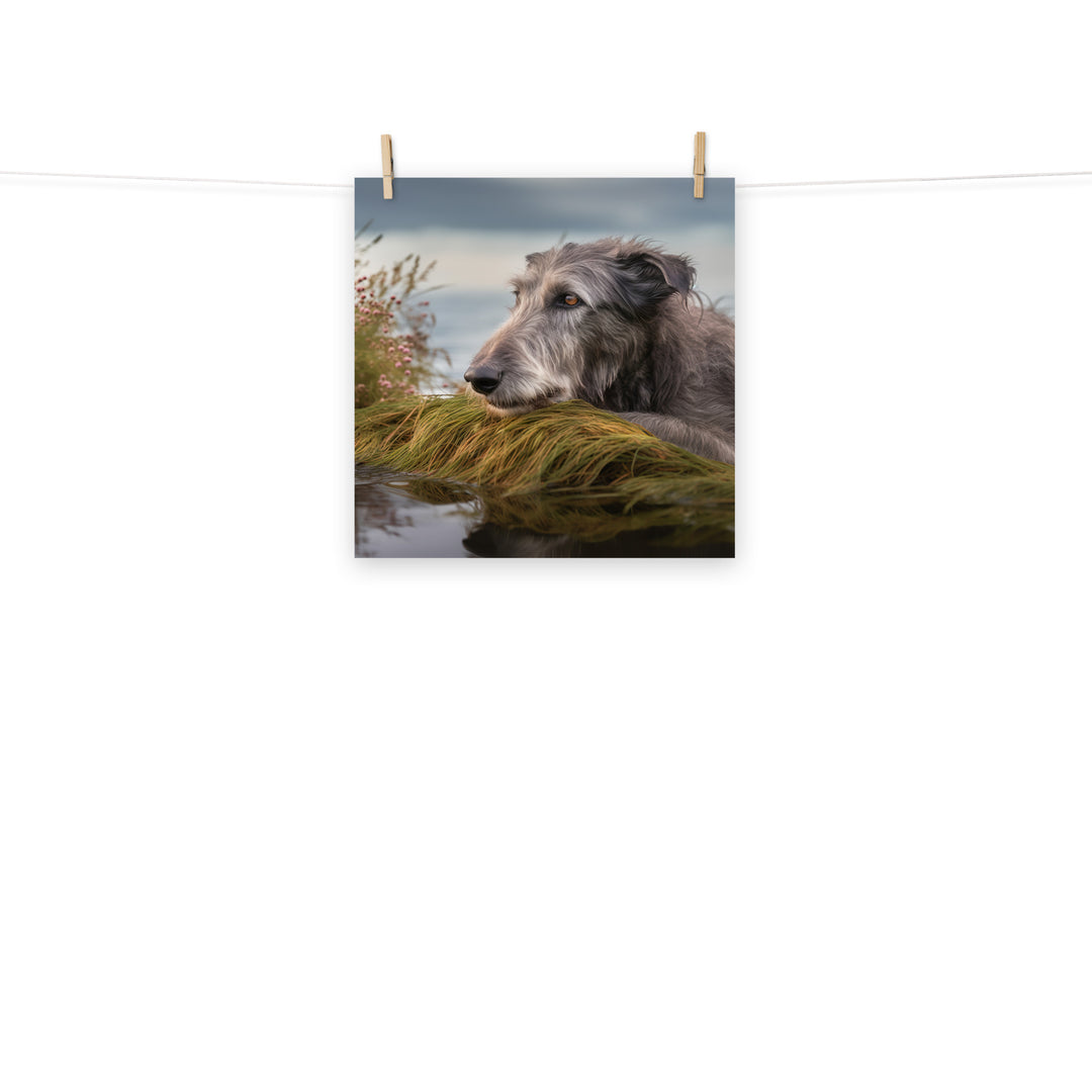Scottish Deerhound Photo paper poster - PosterfyAI.com