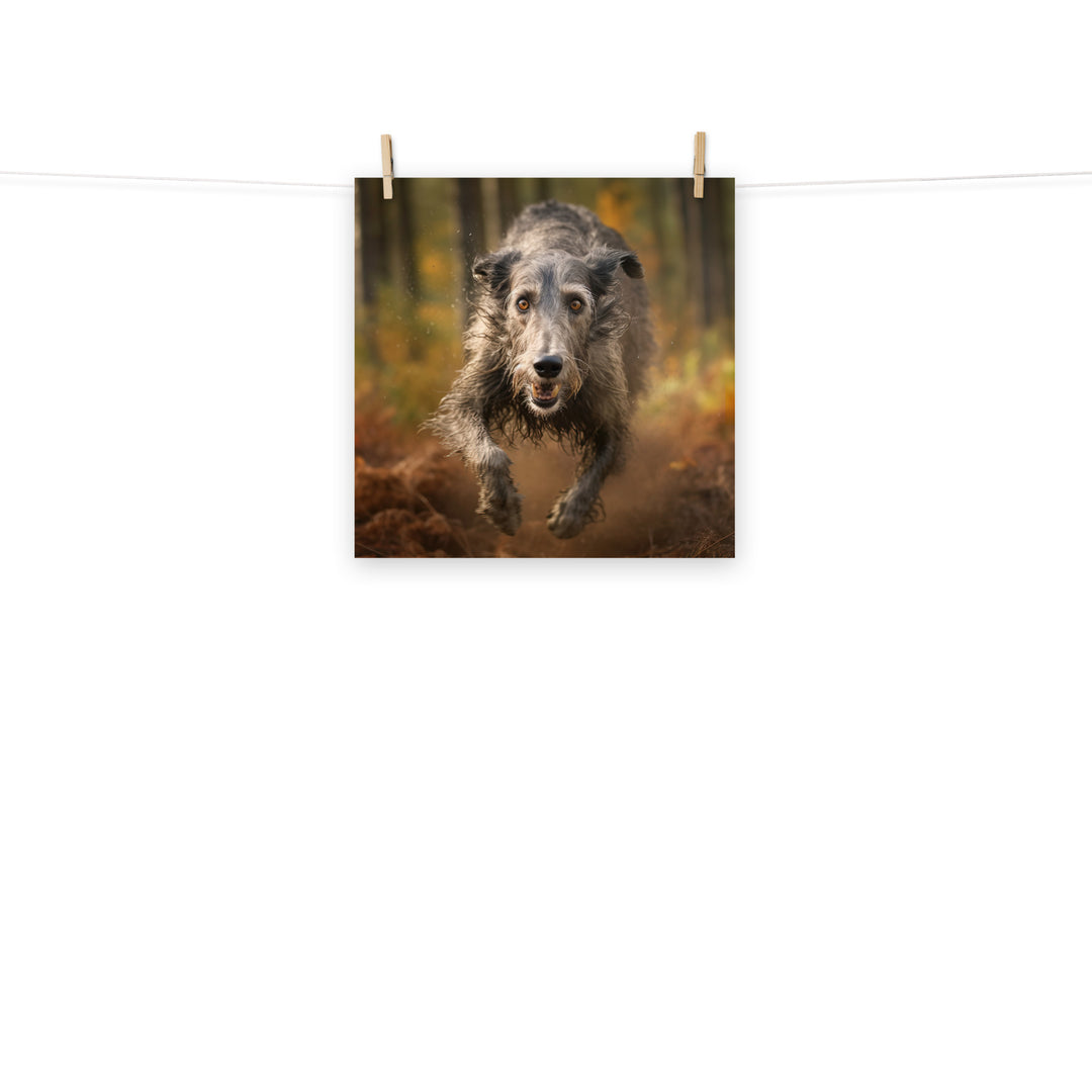 Scottish Deerhound Photo paper poster - PosterfyAI.com