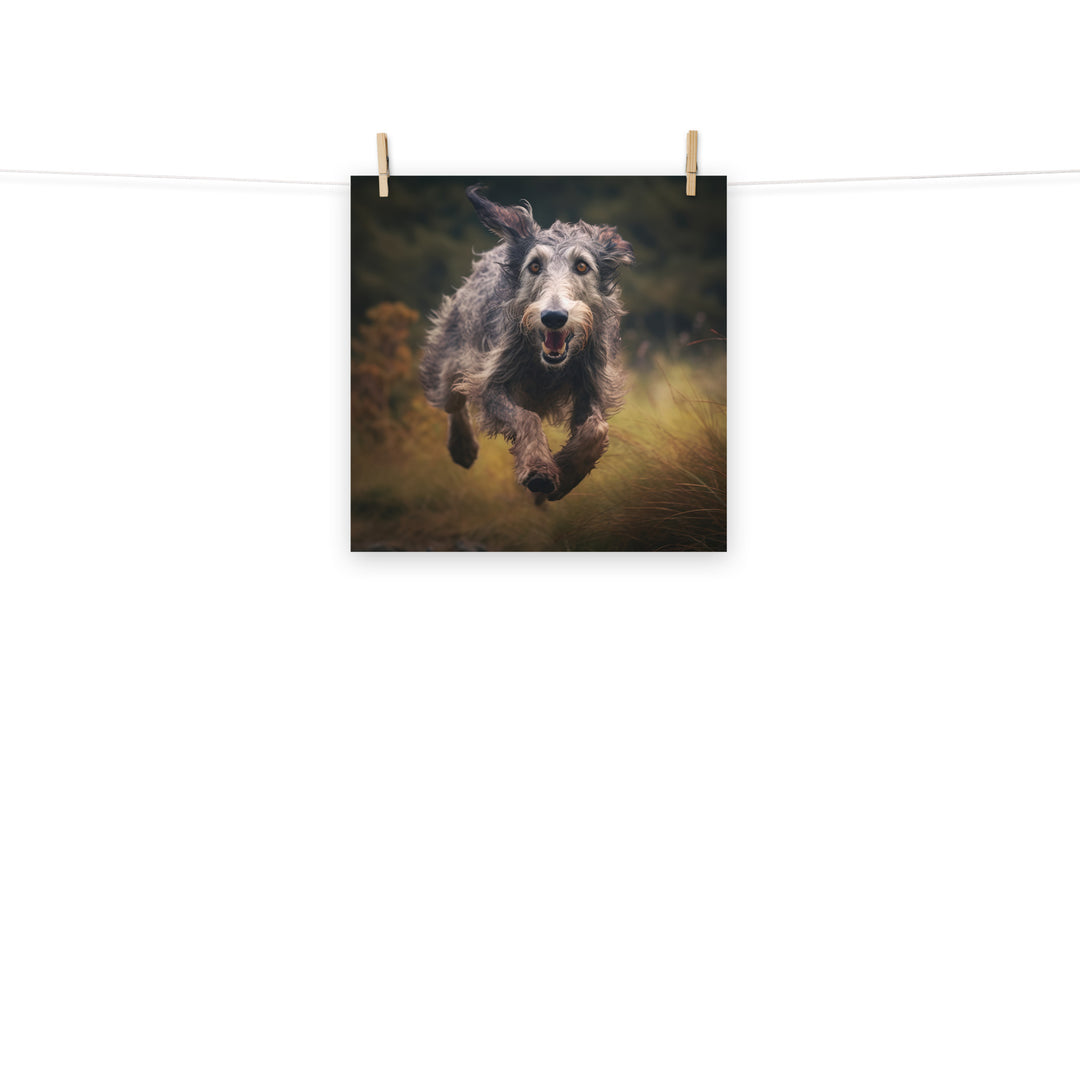 Scottish Deerhound Photo paper poster - PosterfyAI.com