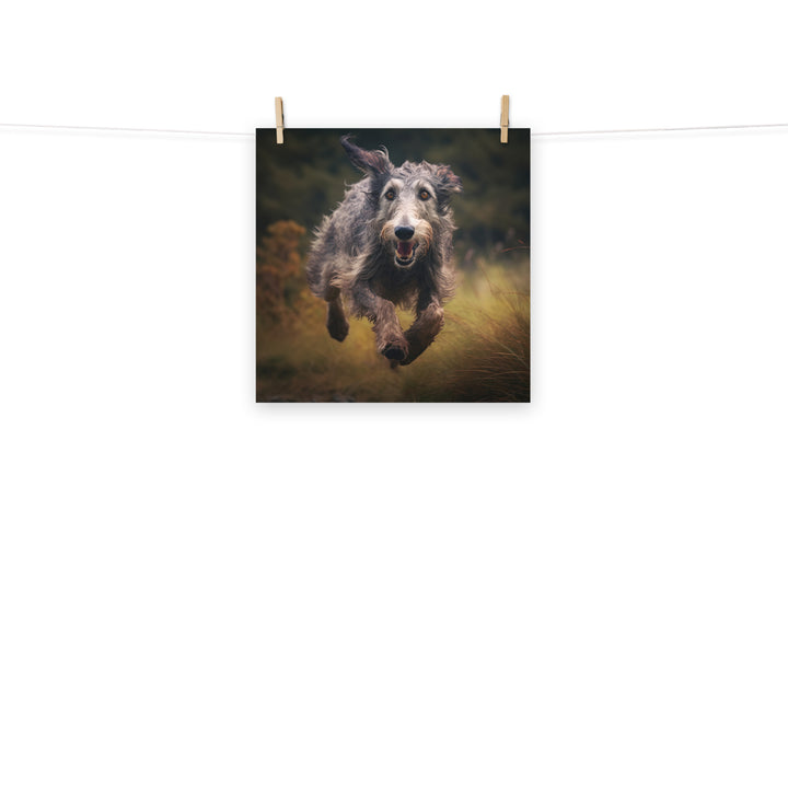 Scottish Deerhound Photo paper poster - PosterfyAI.com