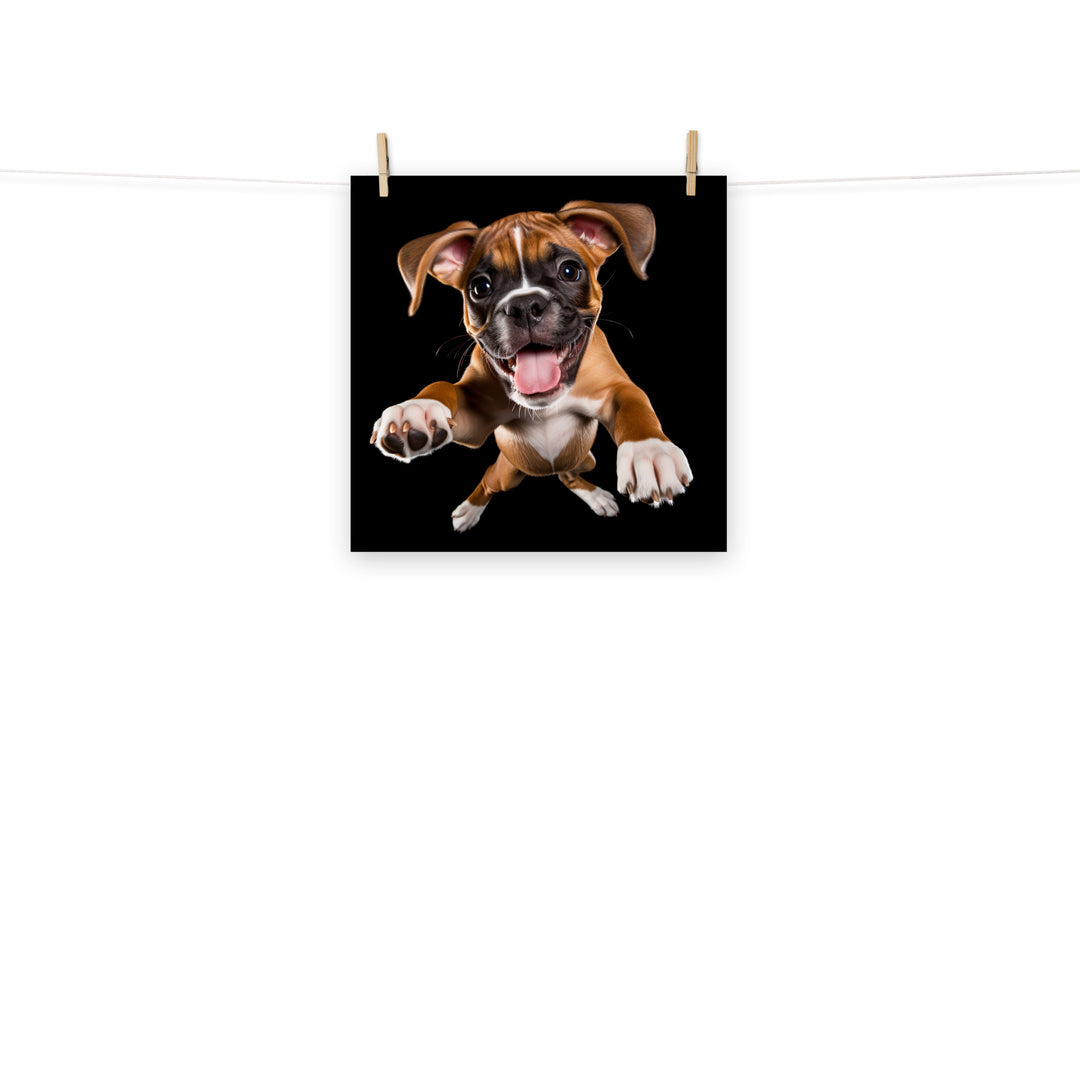 Boxer Photo paper poster - PosterfyAI.com