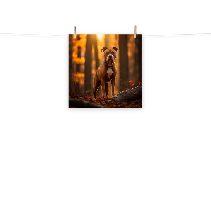 American Staffordshire Terrier Photo paper poster - PosterfyAI.com