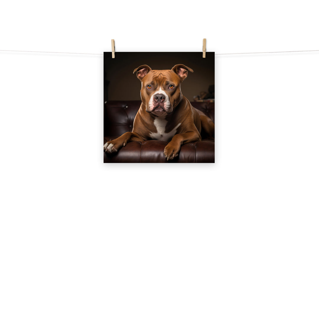 American Staffordshire Terrier Photo paper poster - PosterfyAI.com