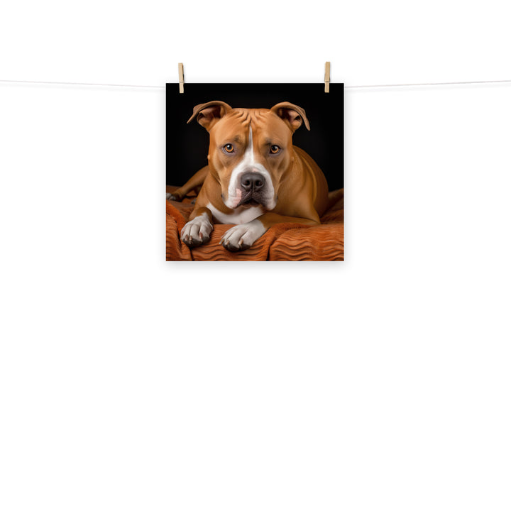 American Staffordshire Terrier Photo paper poster - PosterfyAI.com