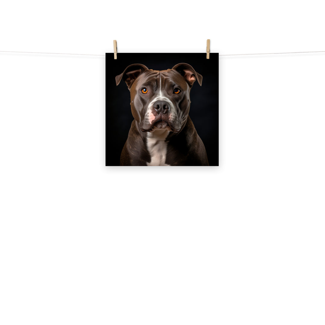 American Staffordshire Terrier Photo paper poster - PosterfyAI.com