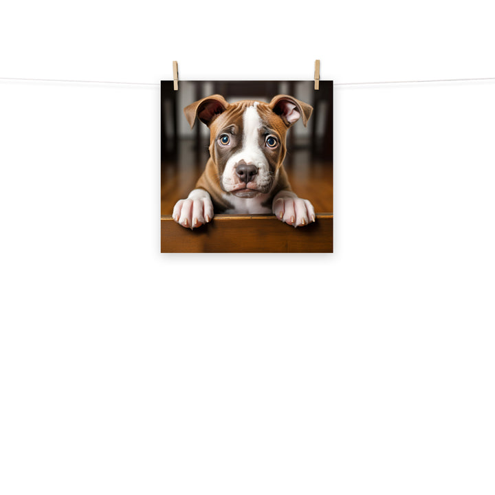 American Staffordshire Terrier Photo paper poster - PosterfyAI.com