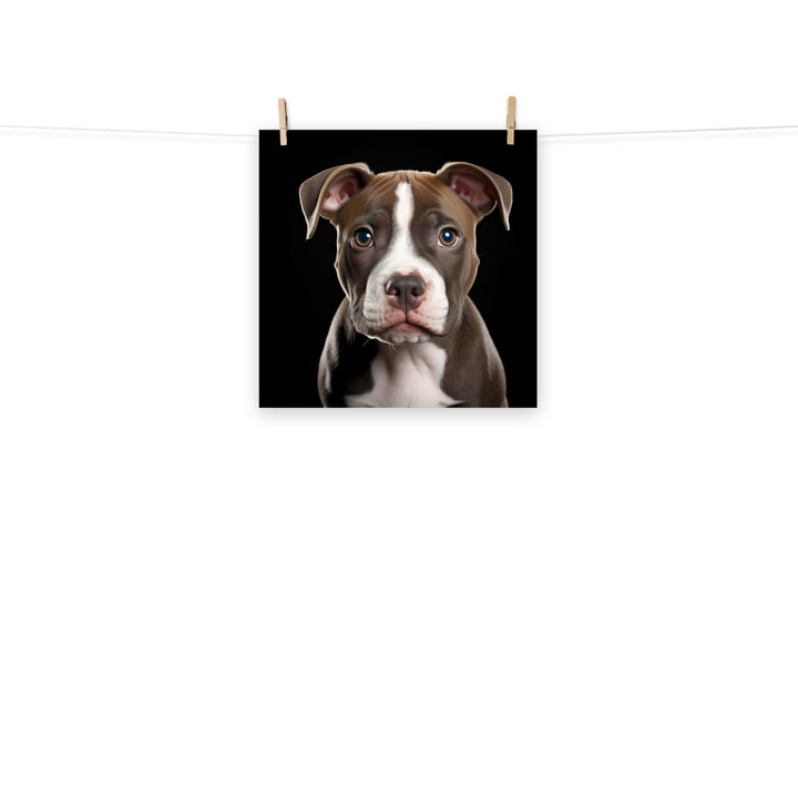 American Staffordshire Terrier Photo paper poster - PosterfyAI.com
