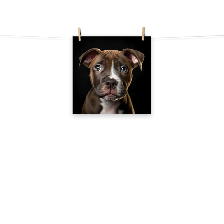 American Staffordshire Terrier Photo paper poster - PosterfyAI.com