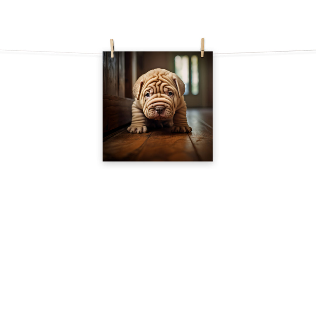 Shar Pei Photo paper poster - PosterfyAI.com