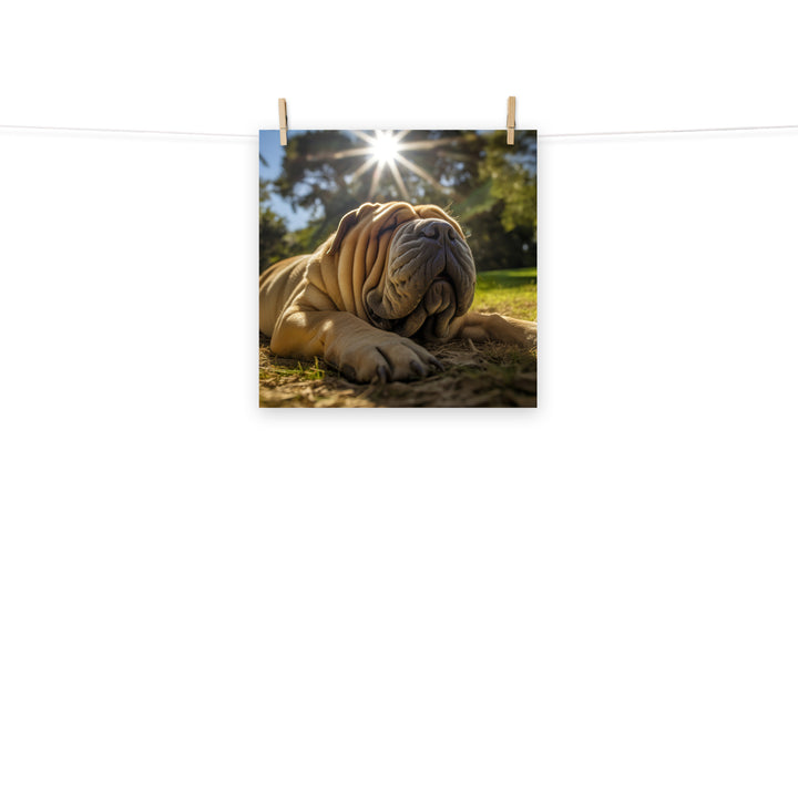 Shar Pei Photo paper poster - PosterfyAI.com