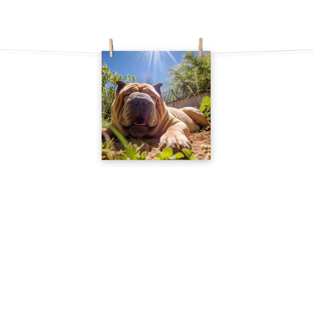 Shar Pei Photo paper poster - PosterfyAI.com