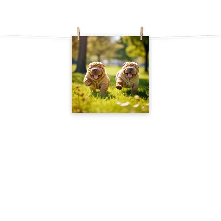 Shar Pei Photo paper poster - PosterfyAI.com