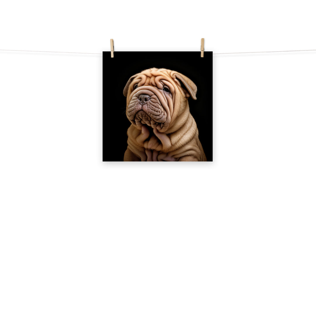 Shar Pei Photo paper poster - PosterfyAI.com