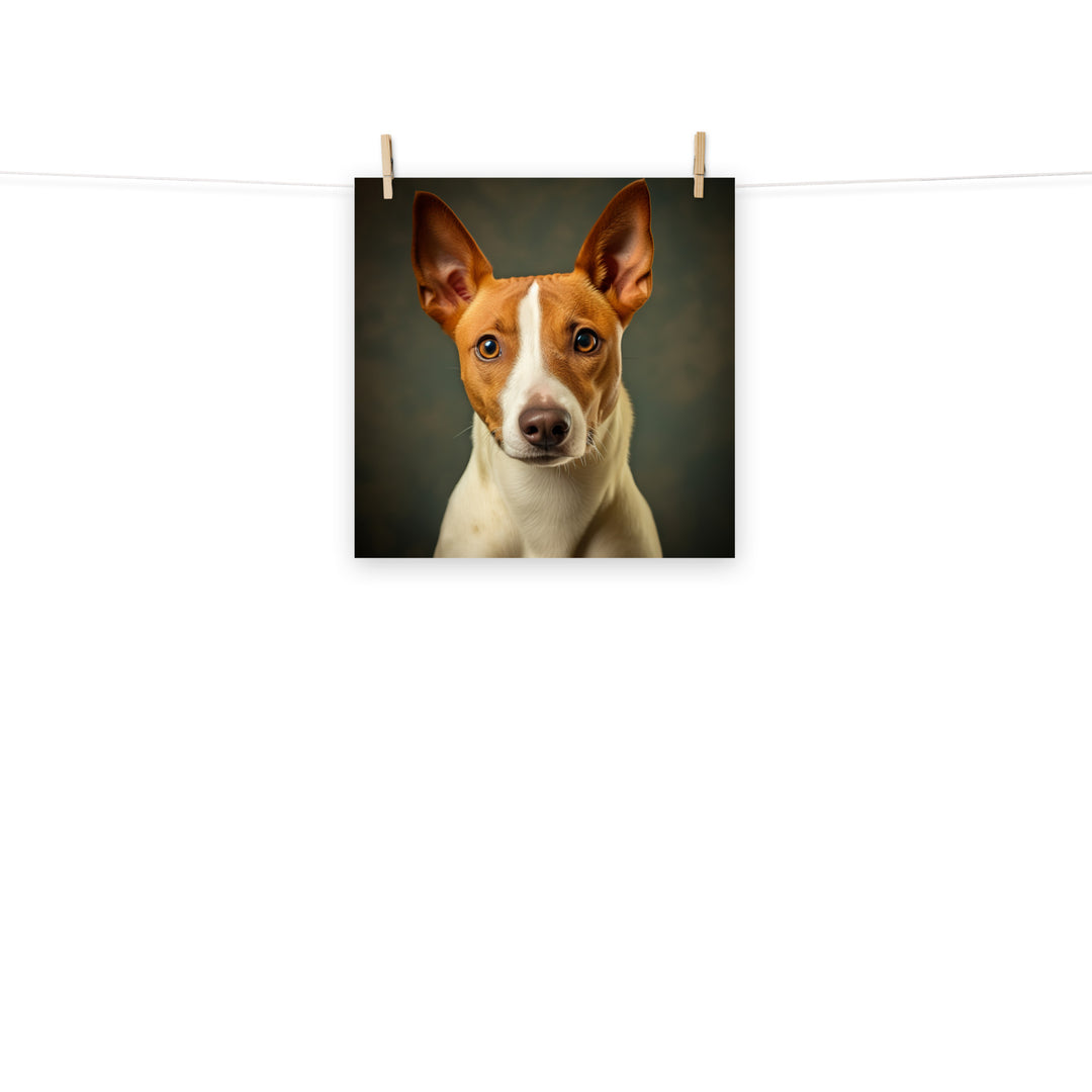 Basenji Photo paper poster - PosterfyAI.com