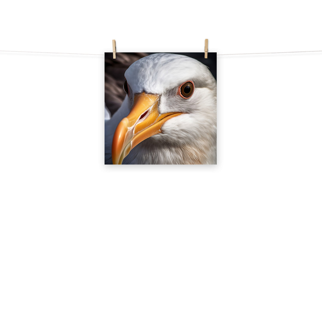 Albatross Photo paper poster - PosterfyAI.com