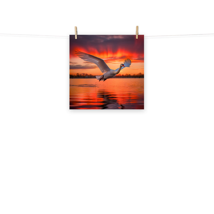 Swan Photo paper poster - PosterfyAI.com