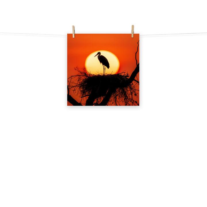 Stork Photo paper poster - PosterfyAI.com