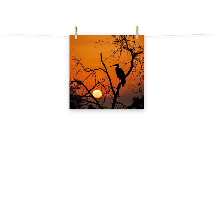 Stork Photo paper poster - PosterfyAI.com