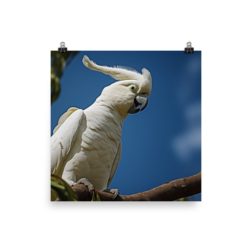 Snowy White Cockatoo Photo paper poster - PosterfyAI.com