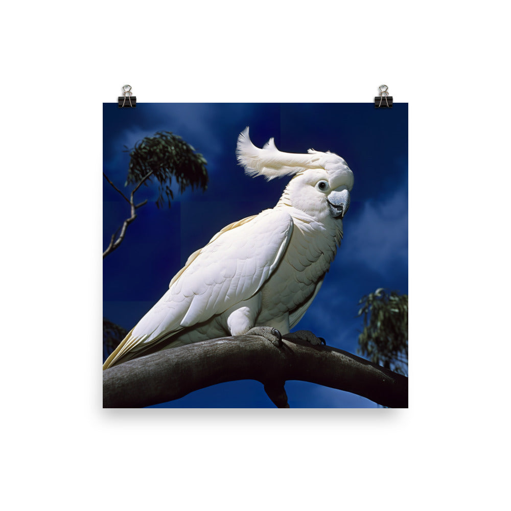Snowy White Cockatoo Photo paper poster - PosterfyAI.com