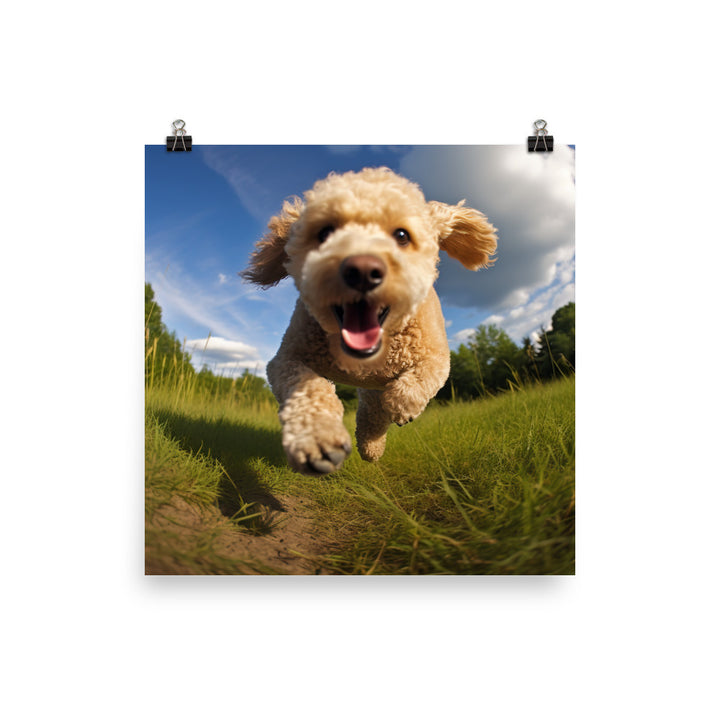 The Playful Poodle Photo paper poster - PosterfyAI.com
