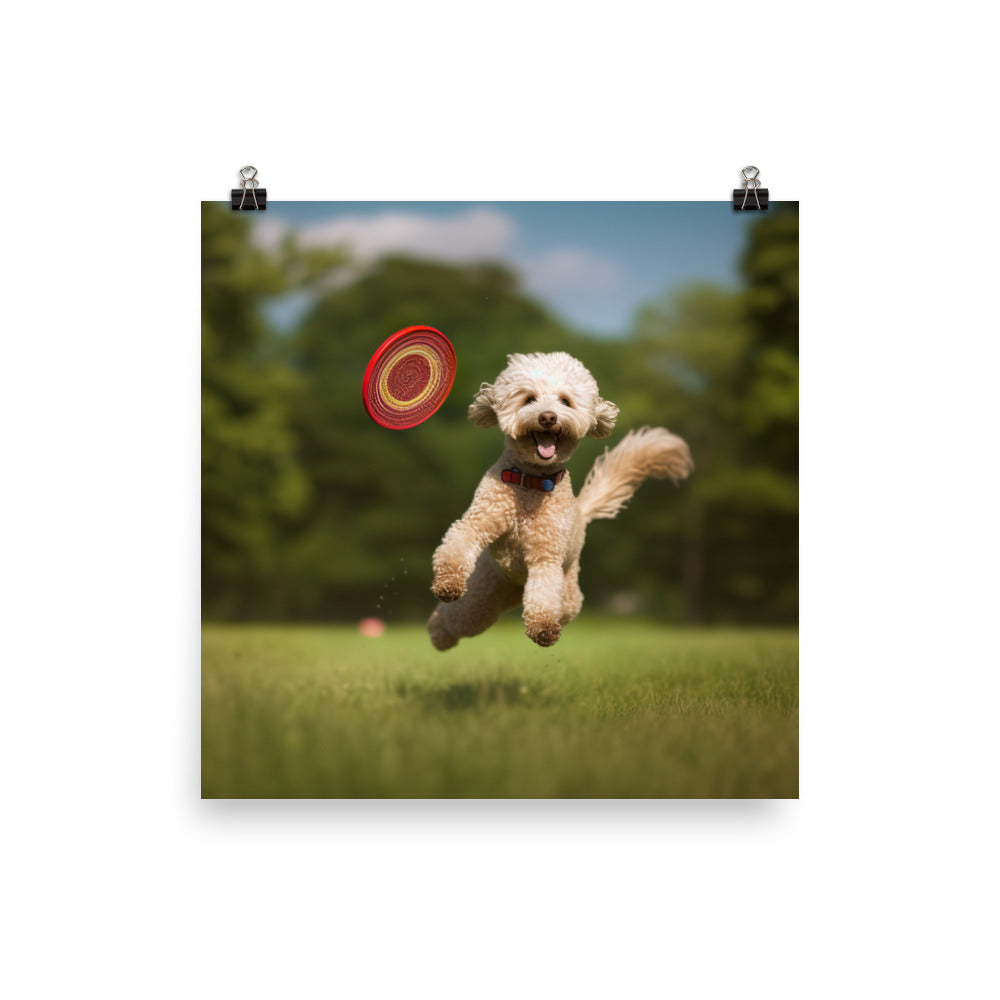 The Playful Poodle in Action Photo paper poster - PosterfyAI.com
