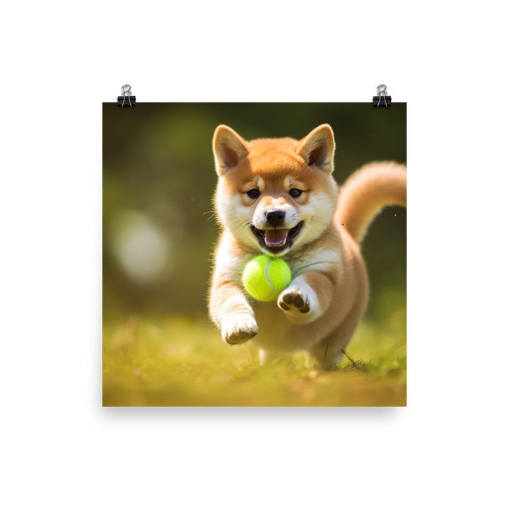 Shiba Inu Pup Playing Photo paper poster - PosterfyAI.com