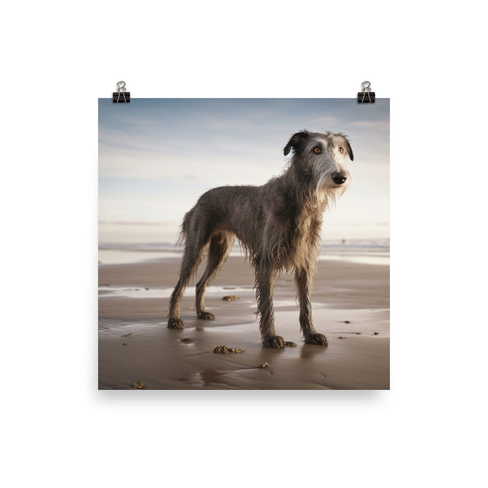 Scottish Deerhound on the Beach Photo paper poster - PosterfyAI.com