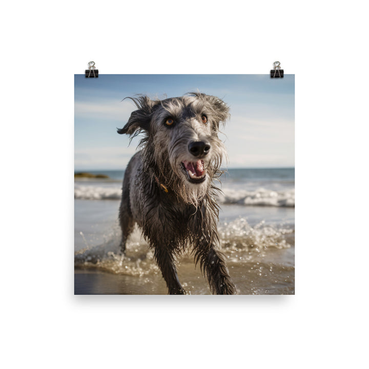 Scottish Deerhound on the Beach Photo paper poster - PosterfyAI.com