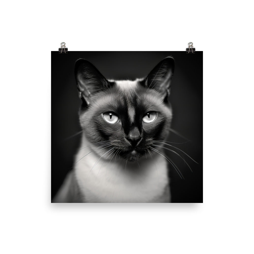 Siamese Charm in Black and White Photo paper poster - PosterfyAI.com