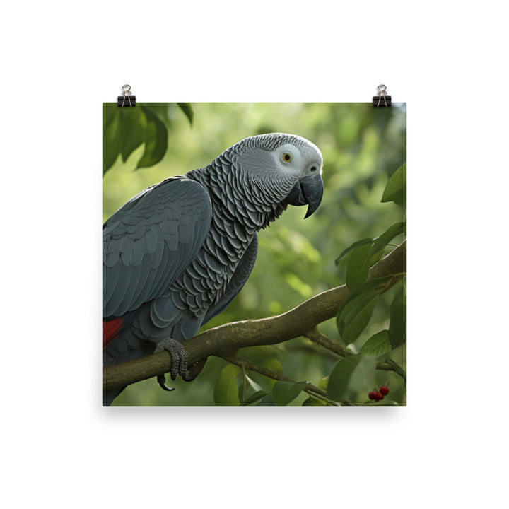 African Grey Parrot in Natural Habitat Photo paper poster - PosterfyAI.com