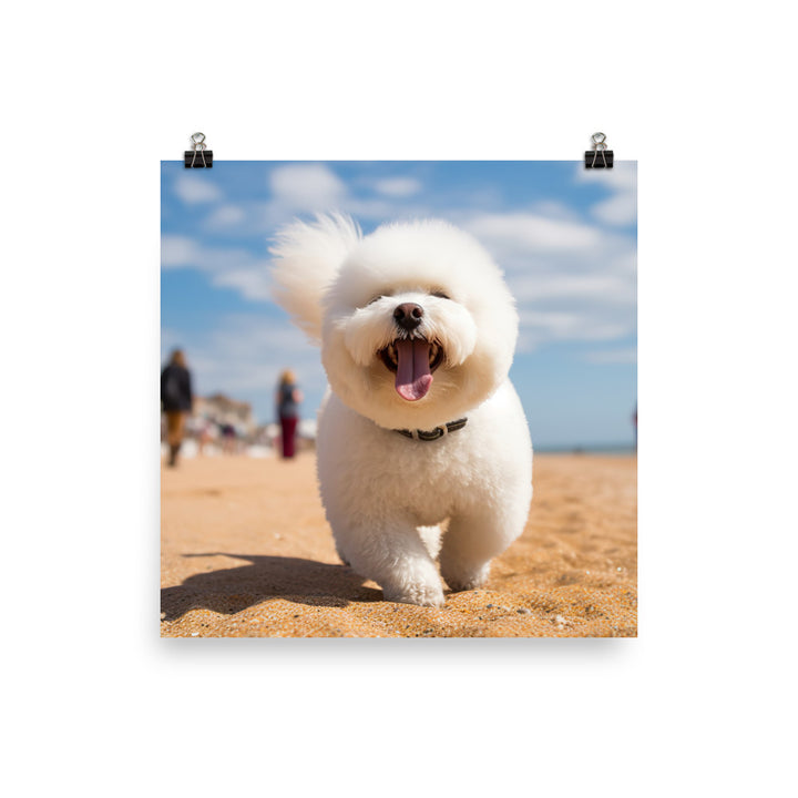 Bichon Frise on a Beach Photo paper poster - PosterfyAI.com
