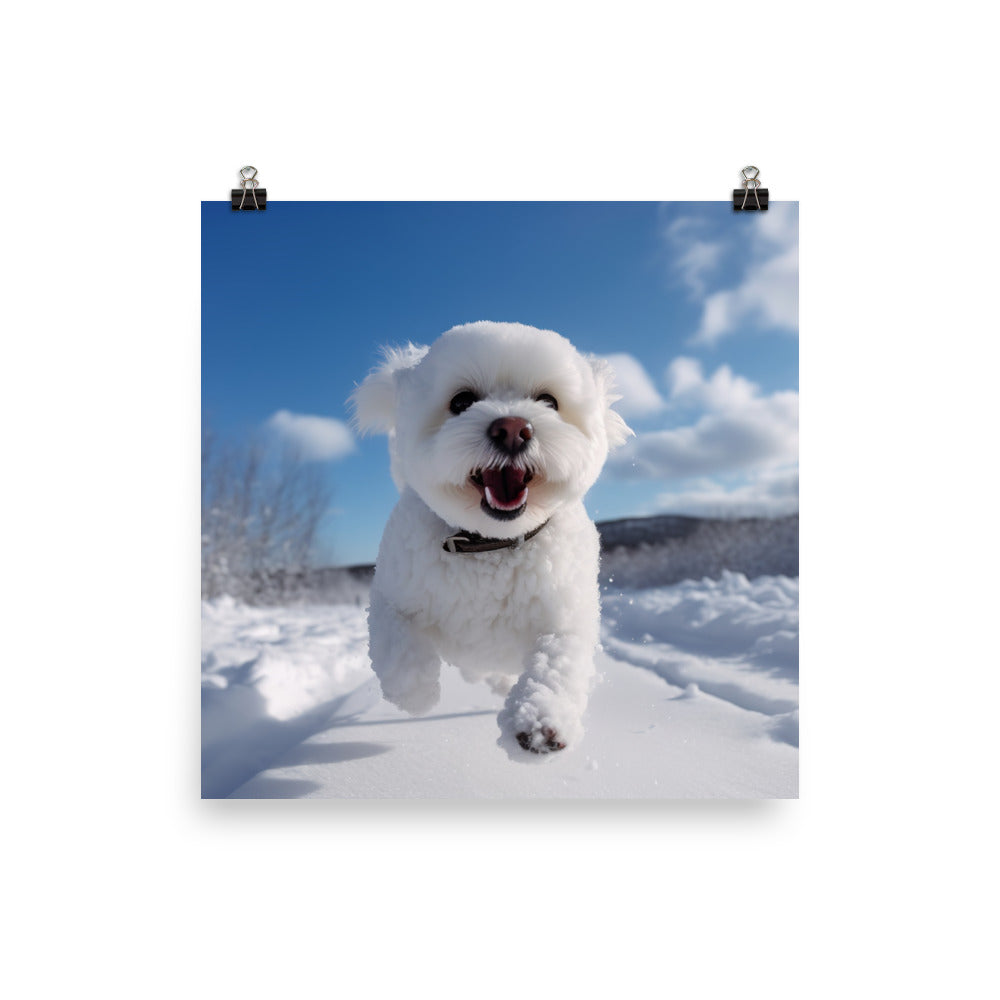 Bichon Frise in the Snow Photo paper poster - PosterfyAI.com