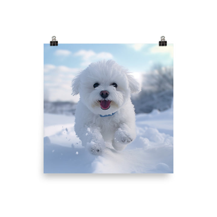 Bichon Frise in the Snow Photo paper poster - PosterfyAI.com